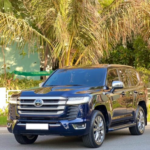 TOYOTA LANDCRUISER VX 2019