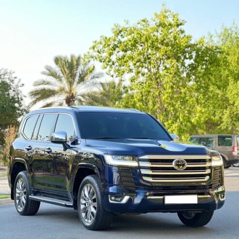 TOYOTA LANDCRUISER VX 2019