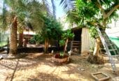 Garden Land for Rent with Animal & Bird Cages in Jeblat Hebshi – BD 55