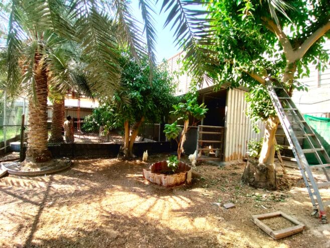 Garden Land for Rent with Animal & Bird Cages in Jeblat Hebshi – BD 55