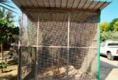 Garden Land for Rent with Animal & Bird Cages in Jeblat Hebshi – BD 55